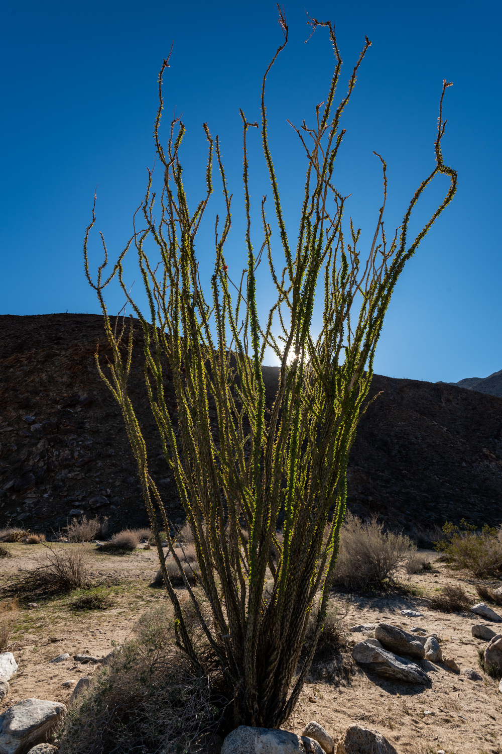 California State Parks