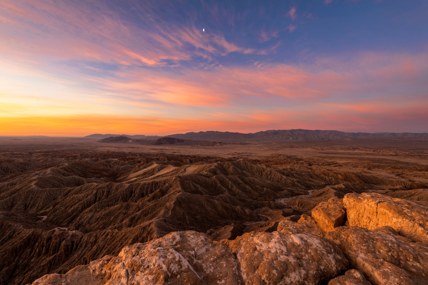 Borrego Palm Canyon Campground