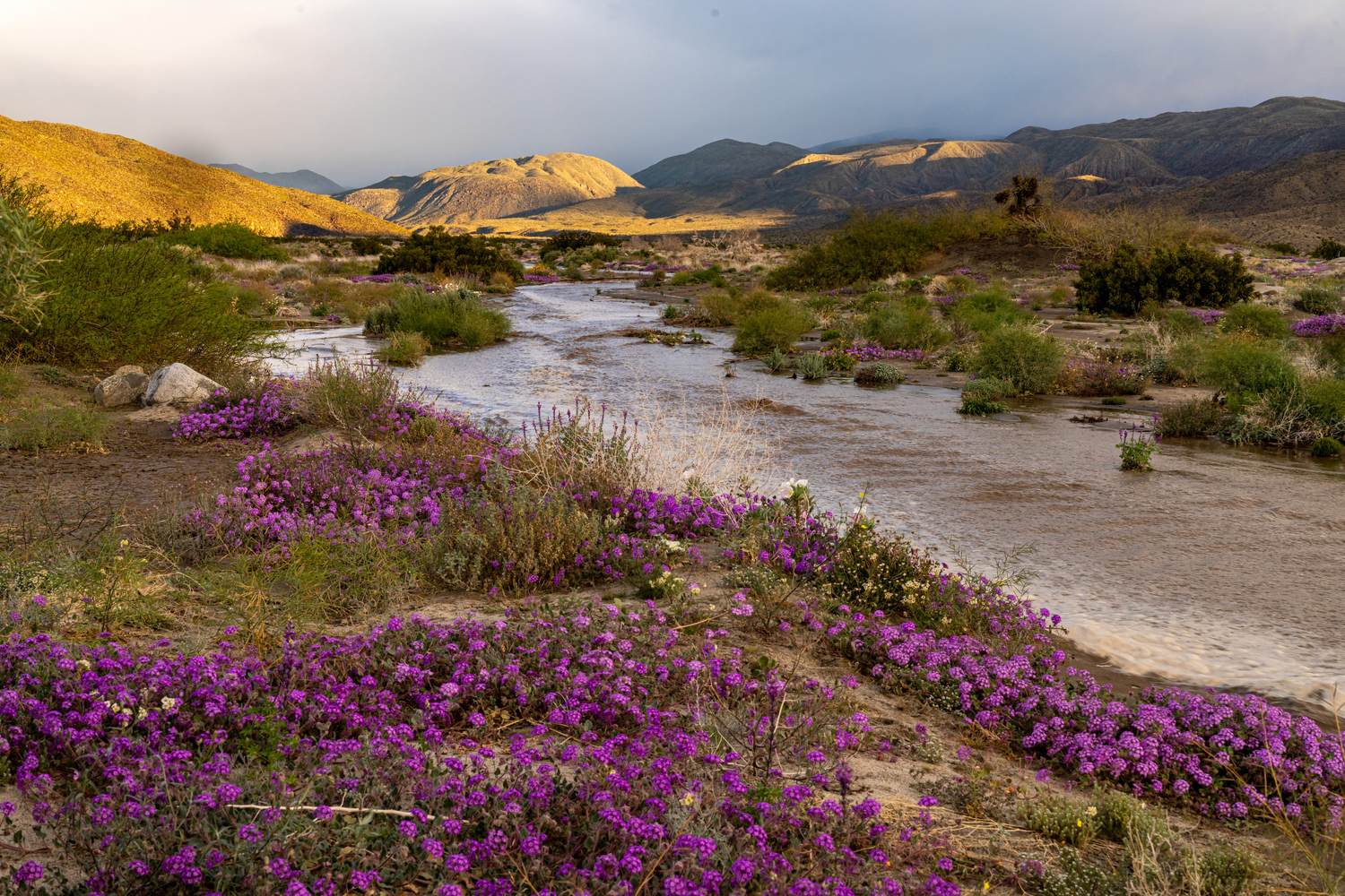California State Parks