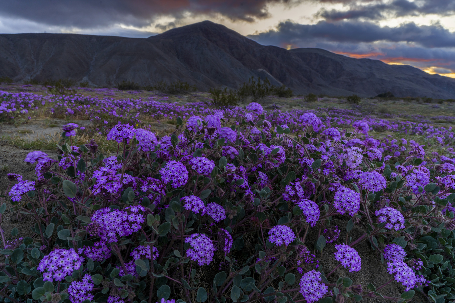 California State Parks