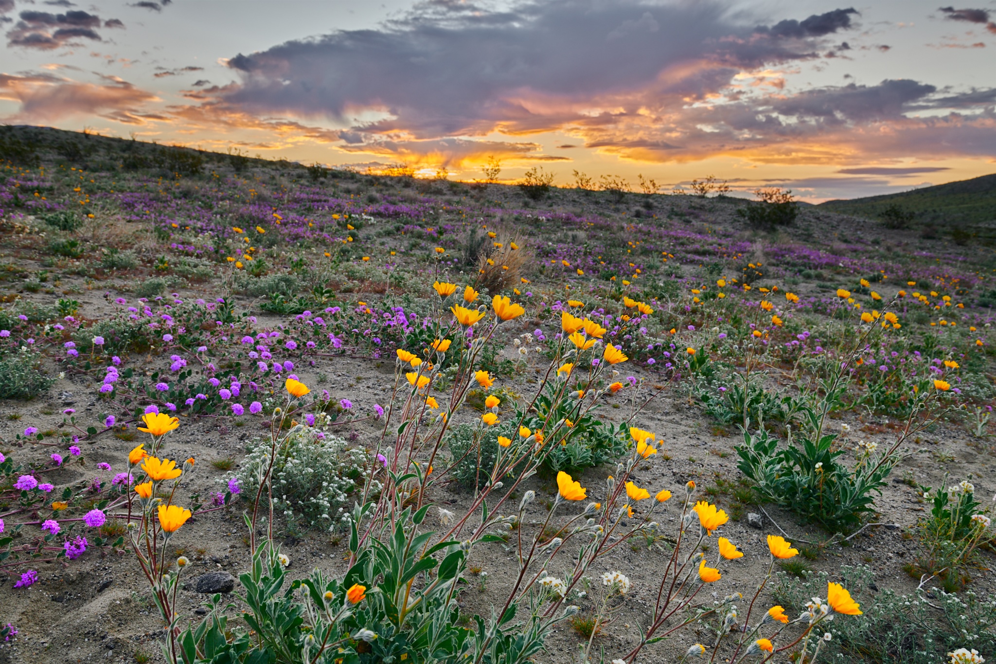 California State Parks