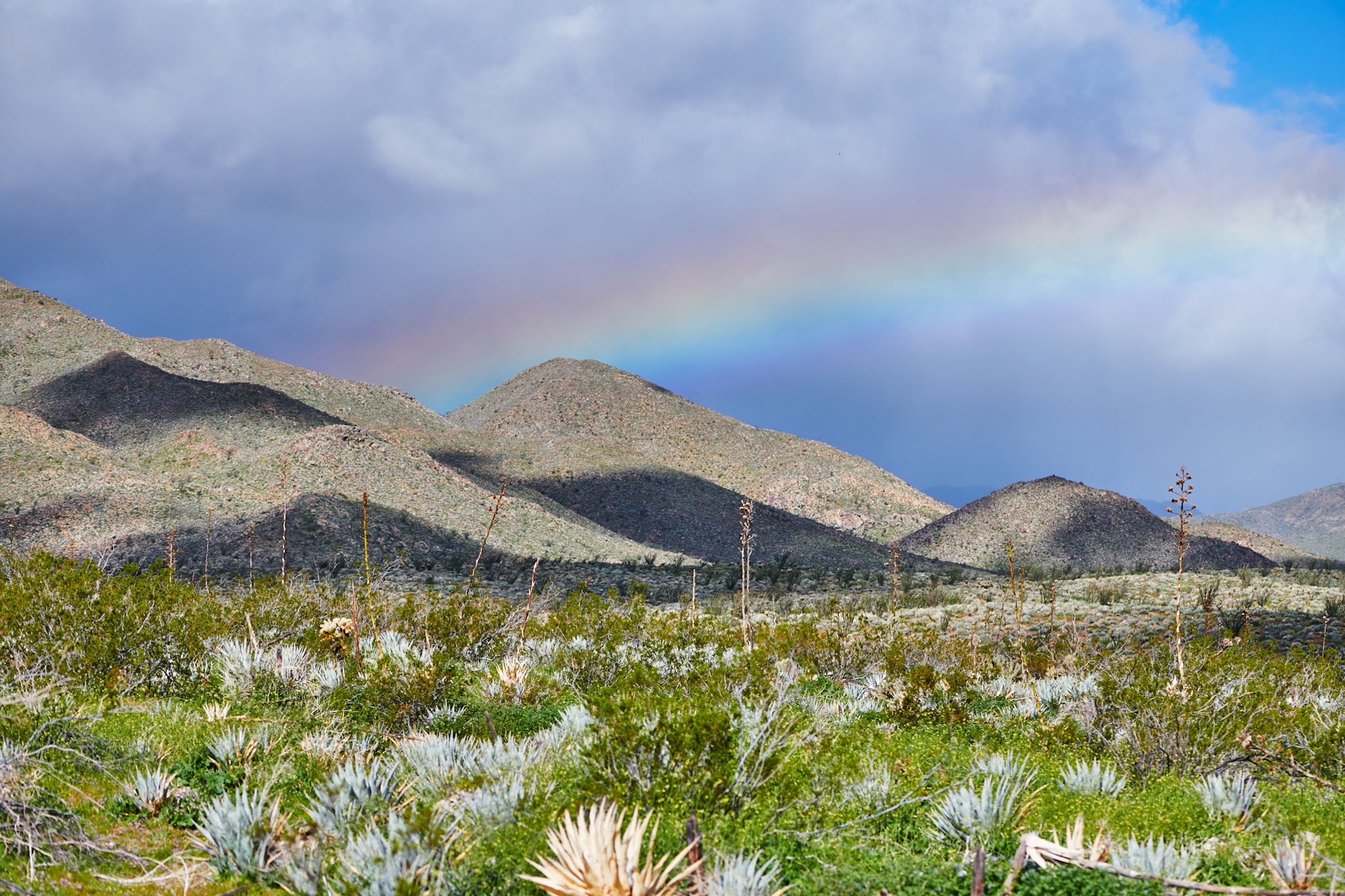 Tamarisk Grove Campground