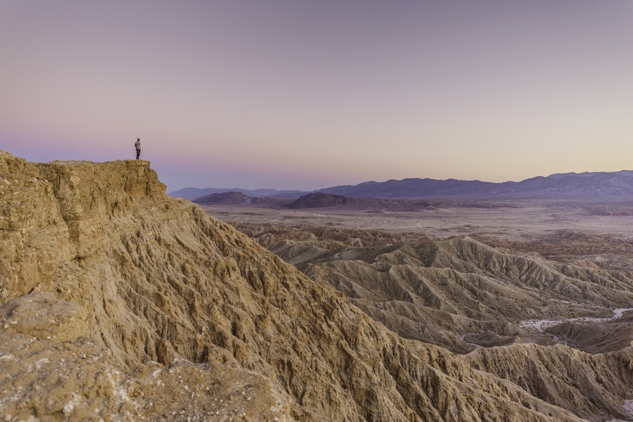 Borrego Palm Canyon Campground