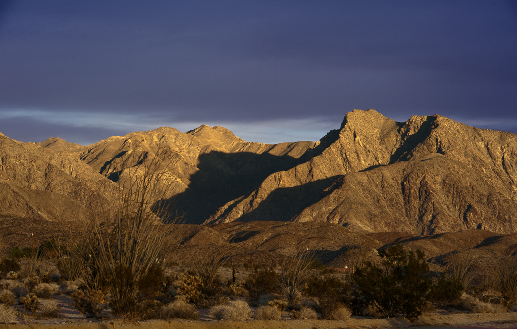 Borrego Palm Canyon Group Campground