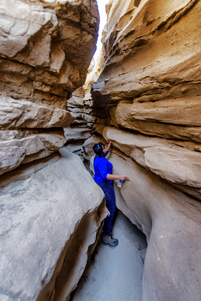 Borrego Palm Canyon Group Campground