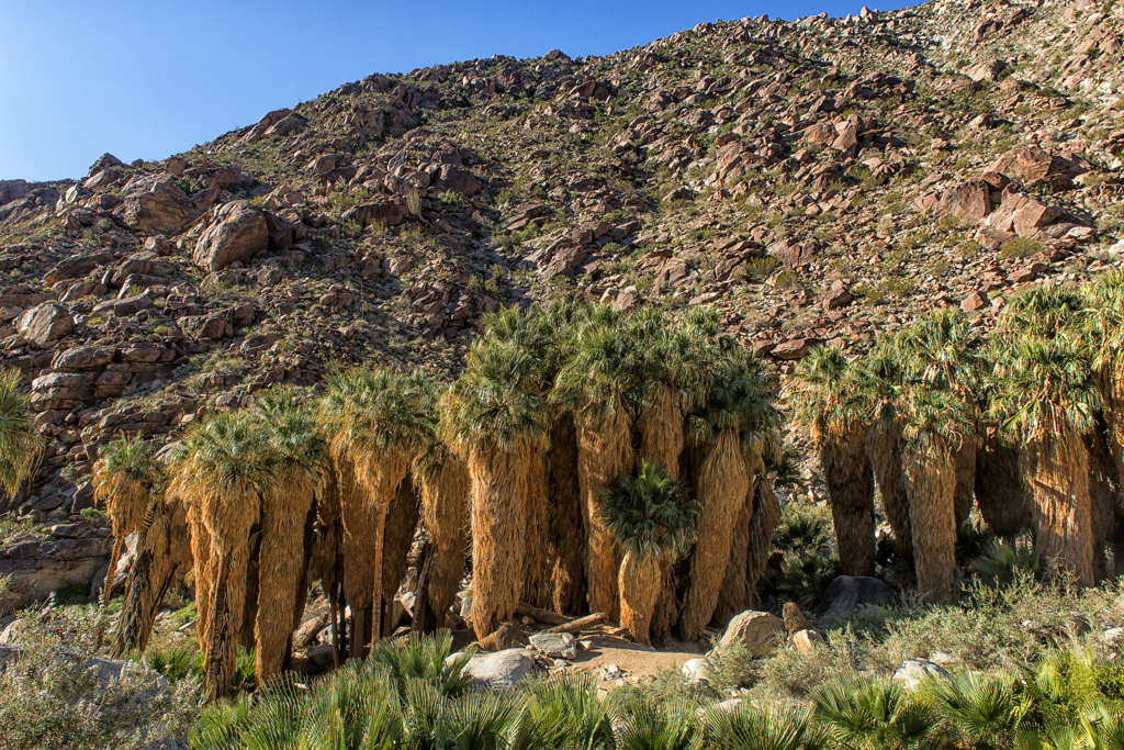 California State Parks