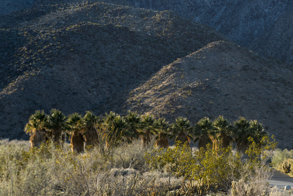 California State Parks