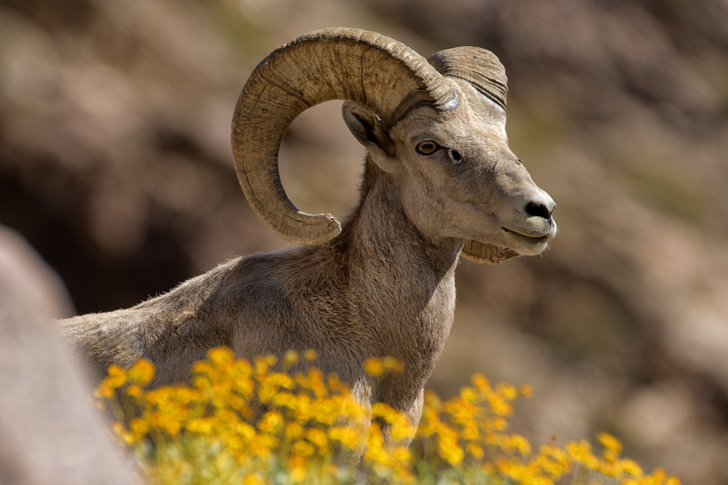 California State Parks