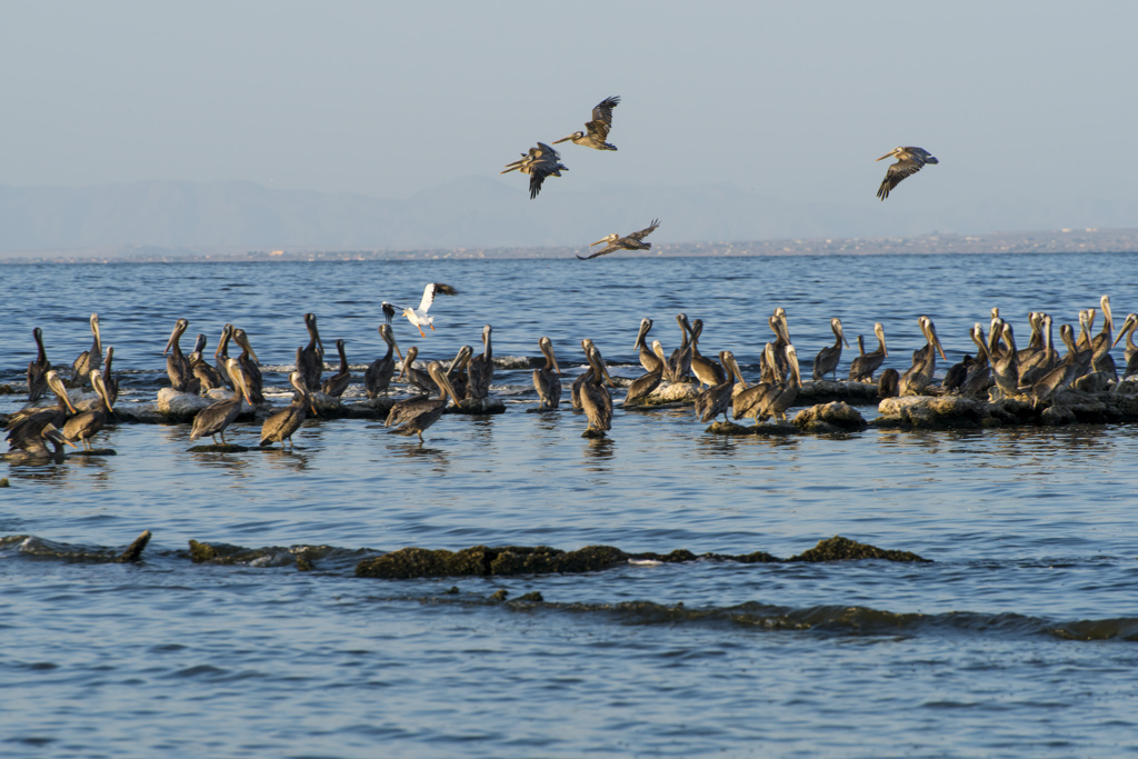 California State Parks