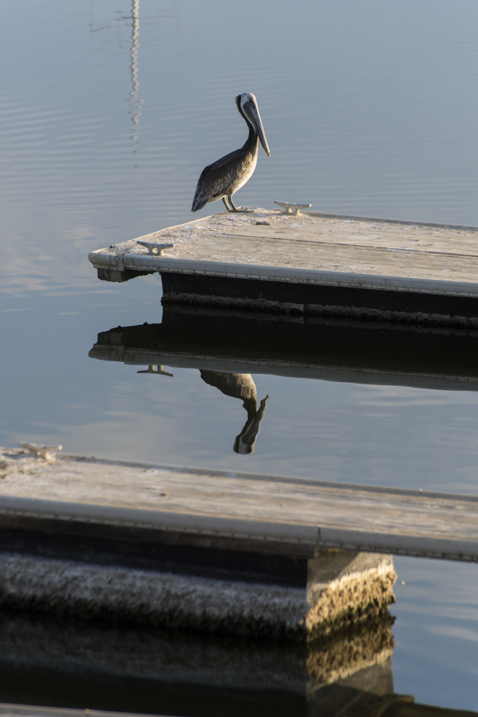 California State Parks