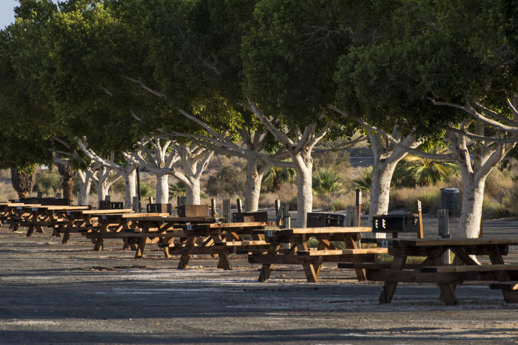 Salt Creek Beach Campground