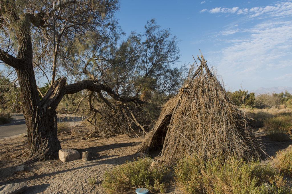 Salt Creek Beach Campground