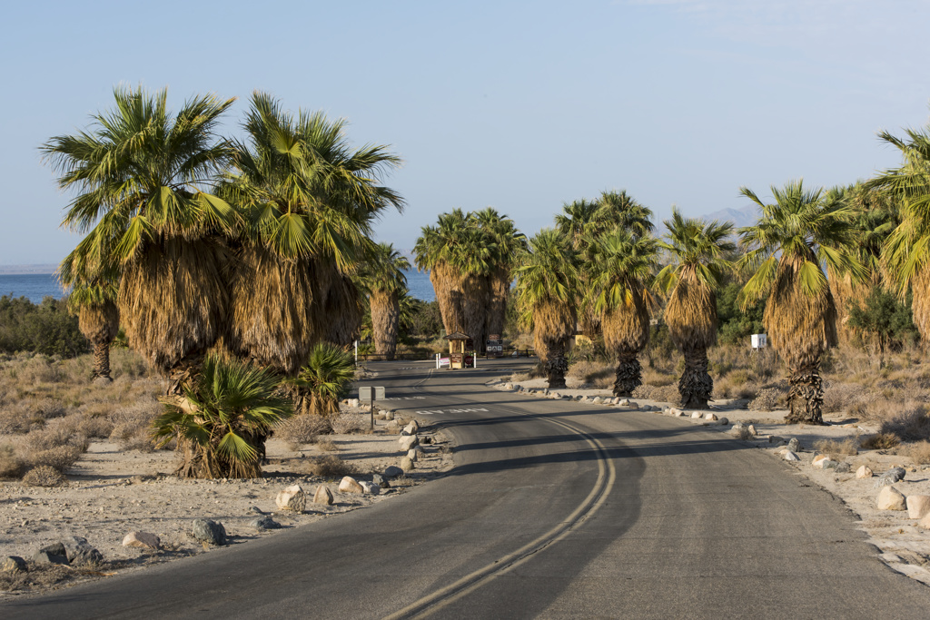 Salt Creek Beach Campground