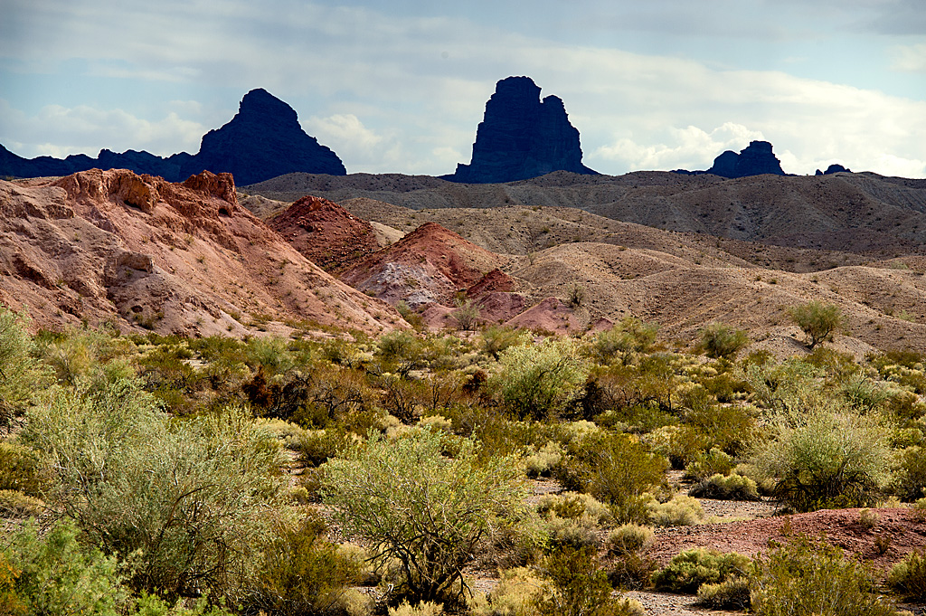 Carrizo Boat-In Campground