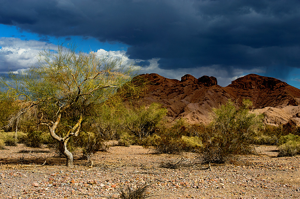 Main - 54 Primitive/Undeveloped Campground