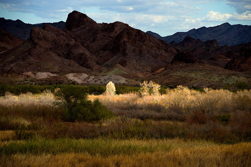 Main - 54 Primitive/Undeveloped Campground