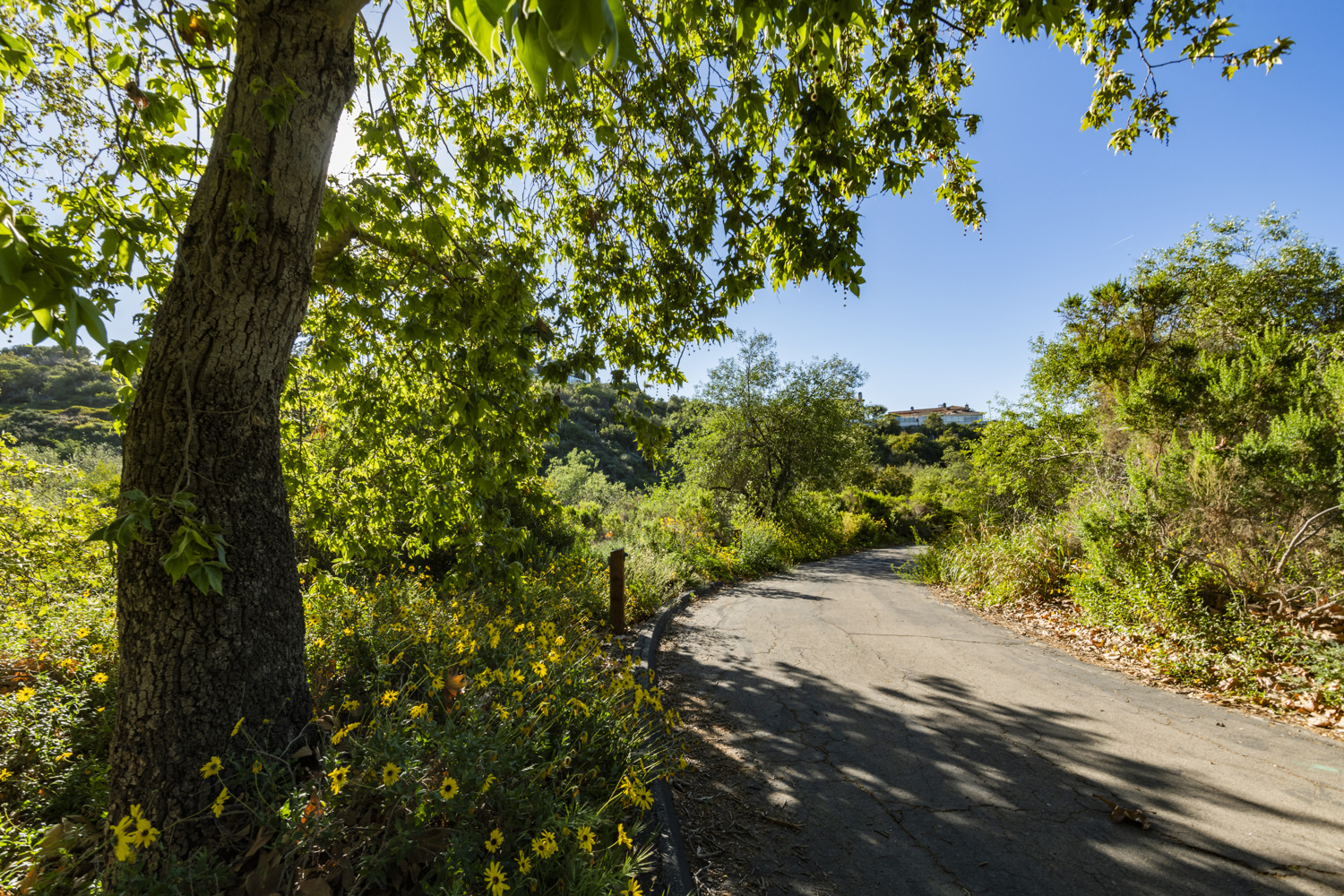 California State Parks