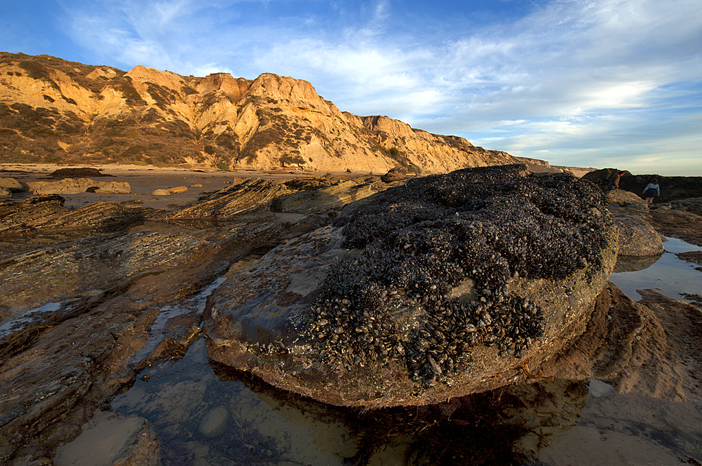 California State Parks
