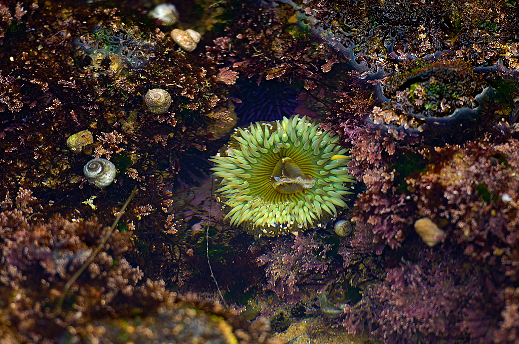 Upper Moro Campground