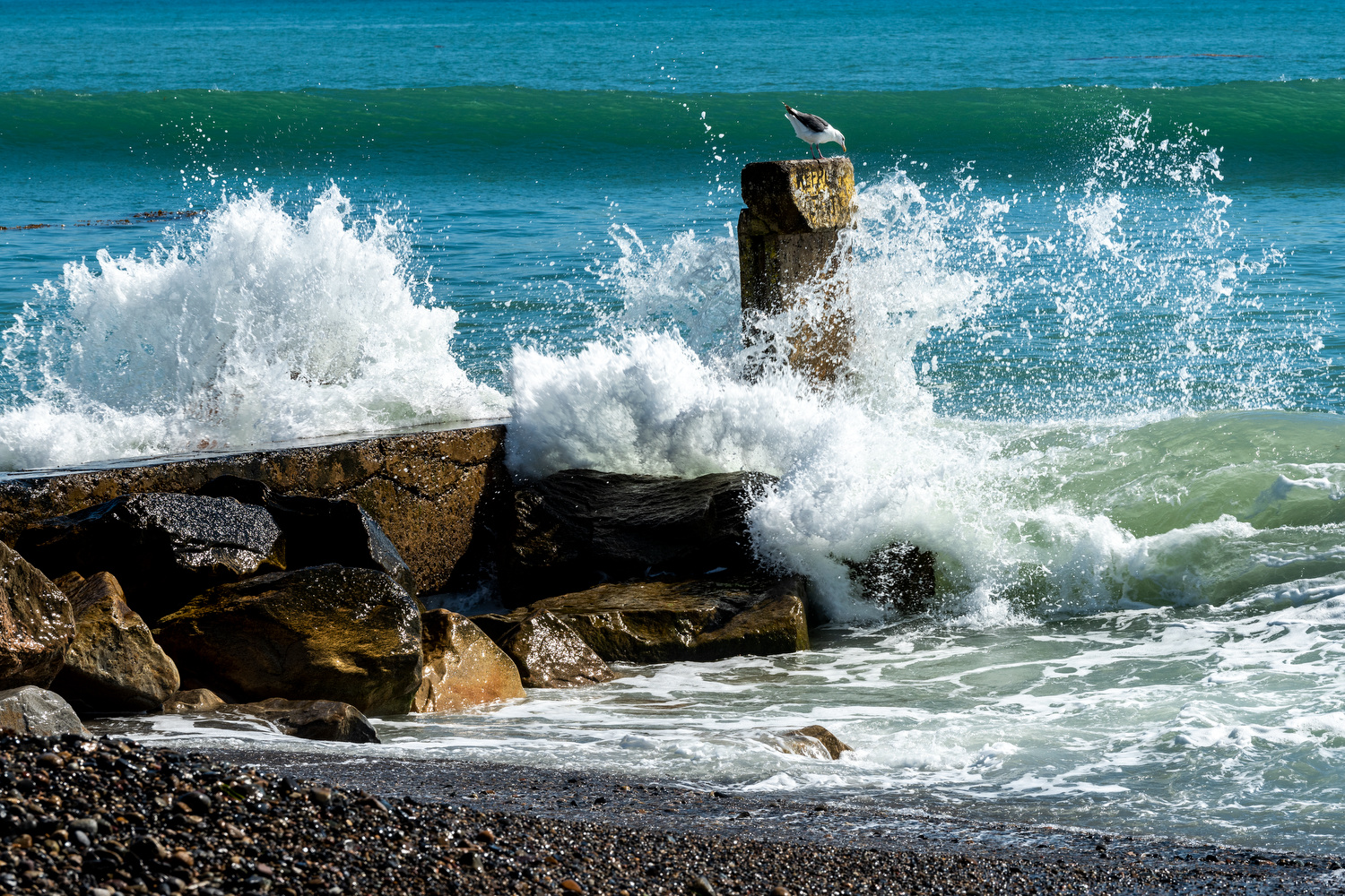 Doheny State Beach Campground
