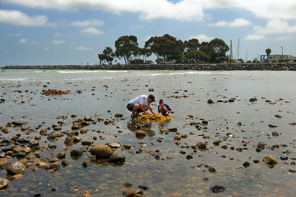 Doheny State Beach Campground