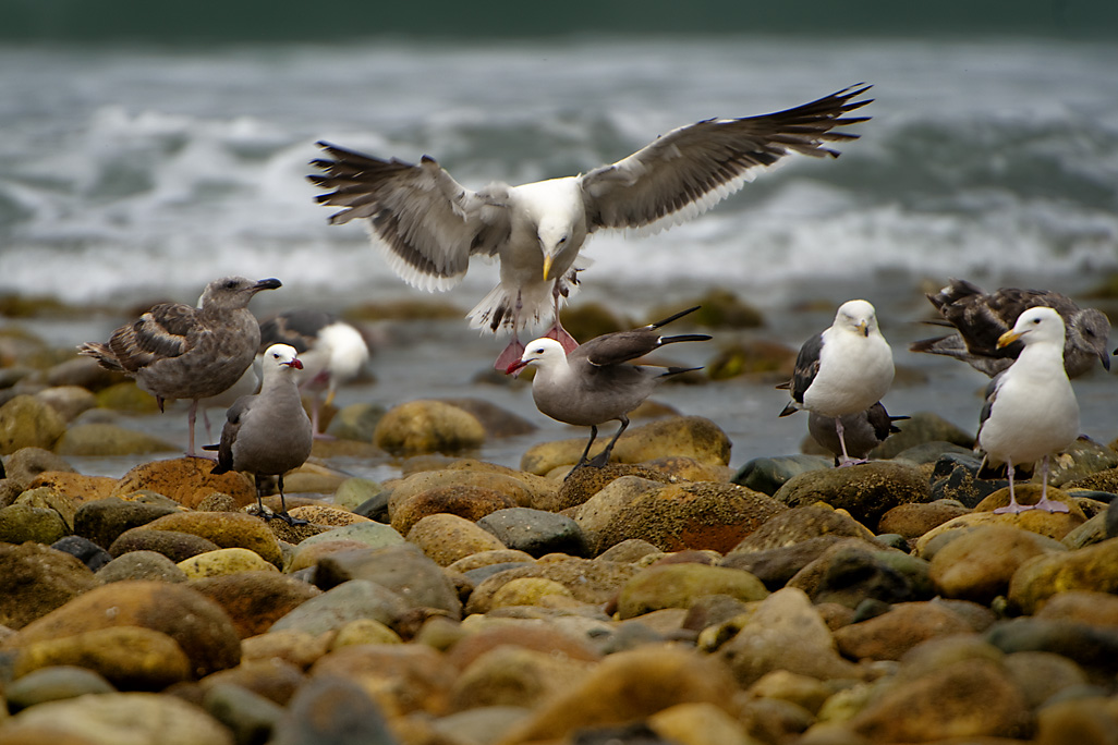 California State Parks