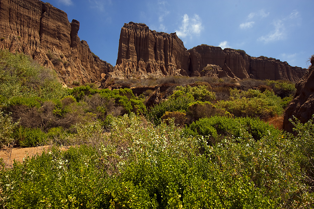 California State Parks