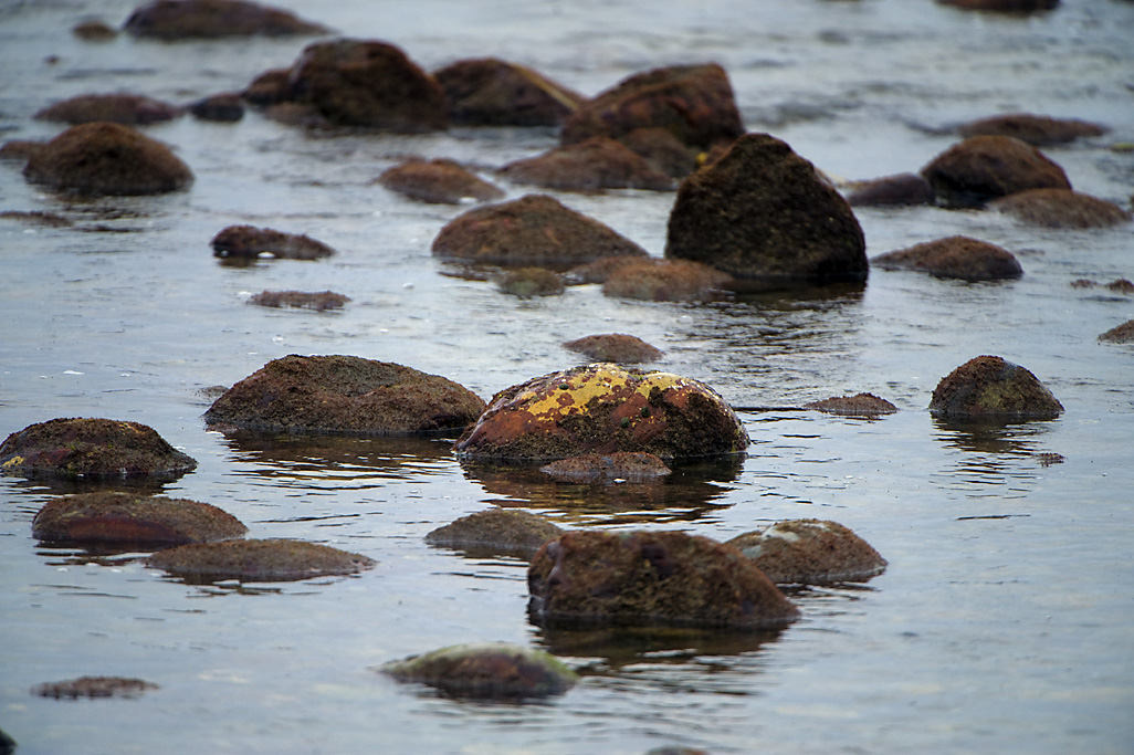 Bluff Group Campground