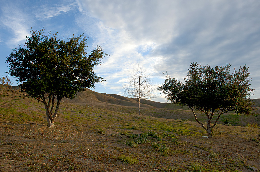California State Parks