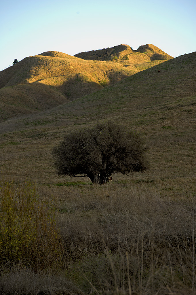 California State Parks