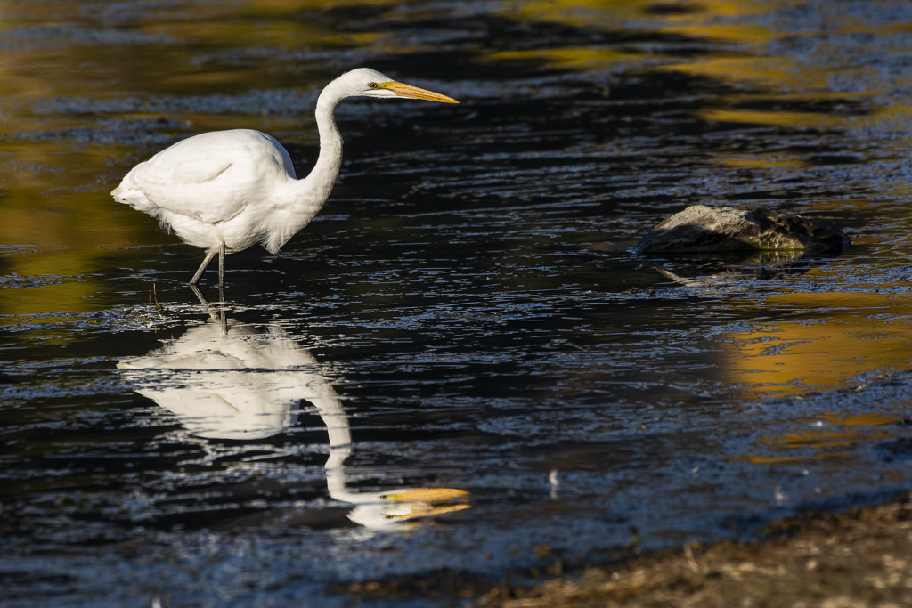 Silverwood Lake State Recreation Area Group Campground