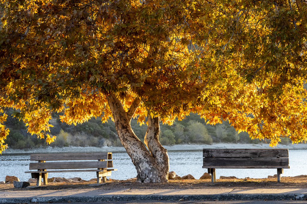 California State Parks