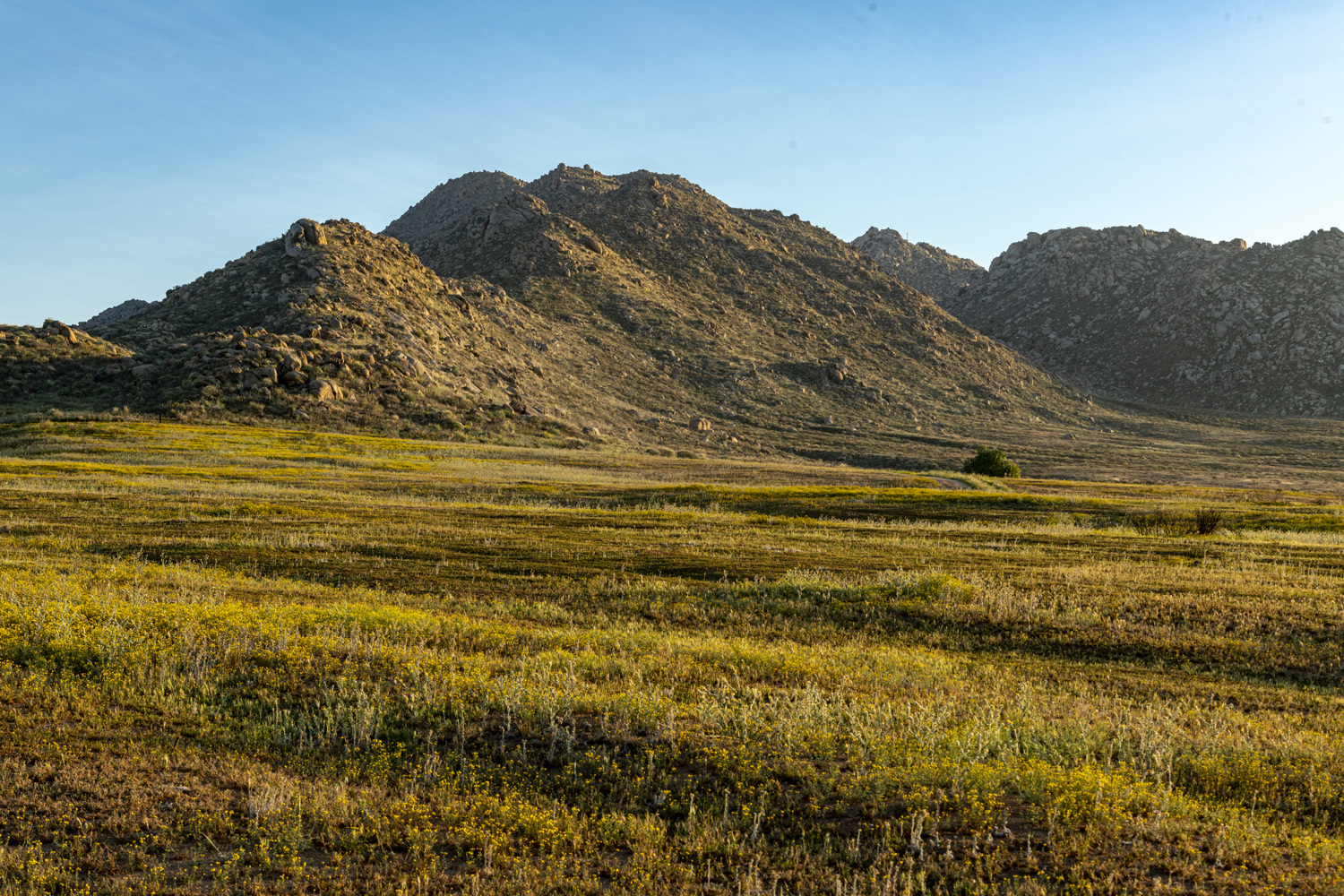 Bernasconi Undeveloped Group Campground