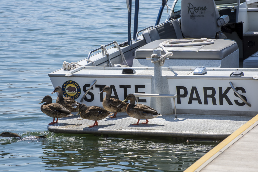 California State Parks