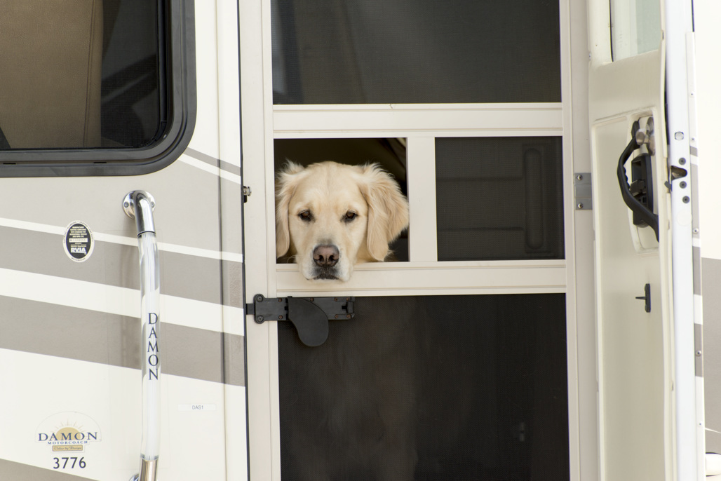 California State Parks