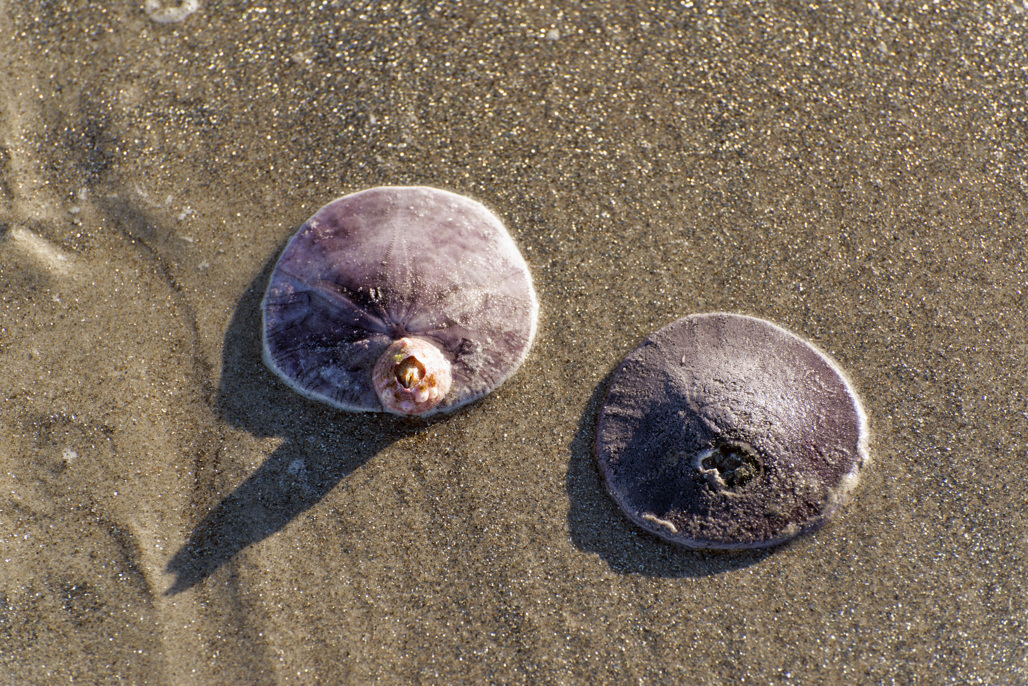 California State Parks