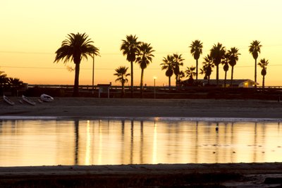Silver Strand State Beach Campground