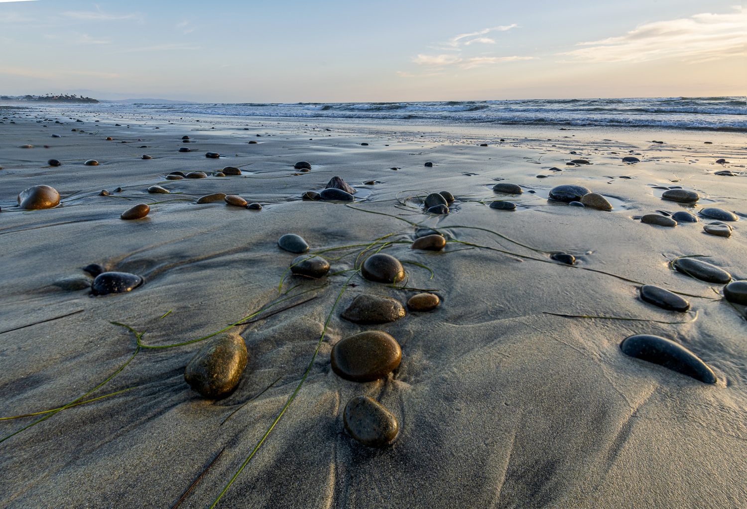 Grunion Run Group Campground