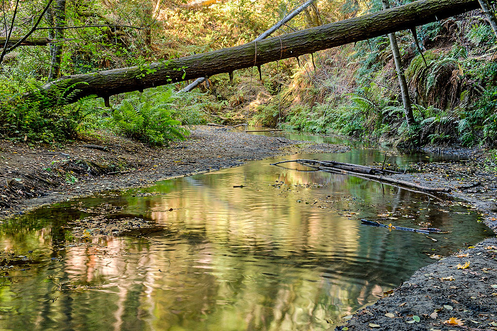 West Ridge Trail Campground
