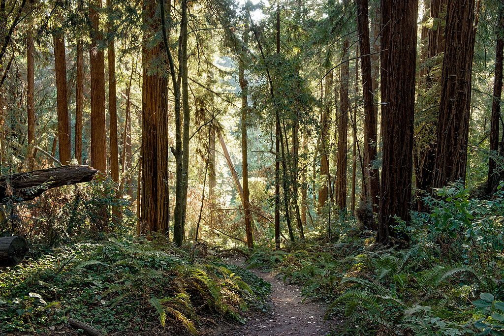 West Ridge Trail Campground