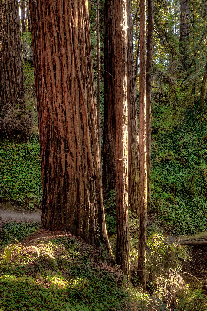West Ridge Trail Campground