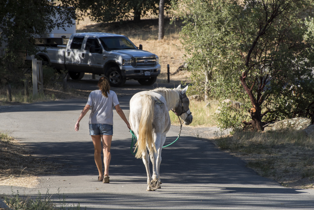Paso Picacho Group Campground