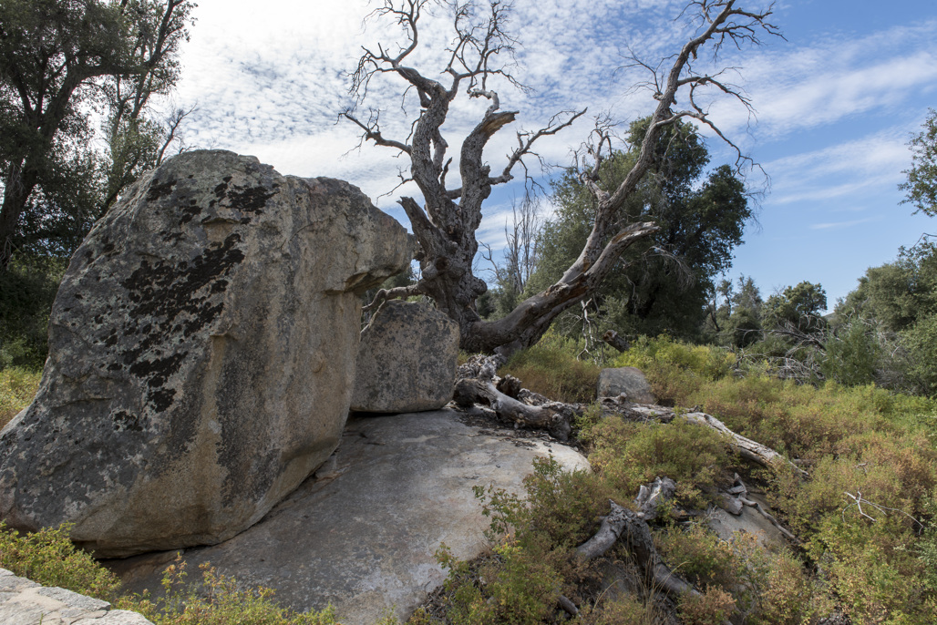 Green Valley Campground