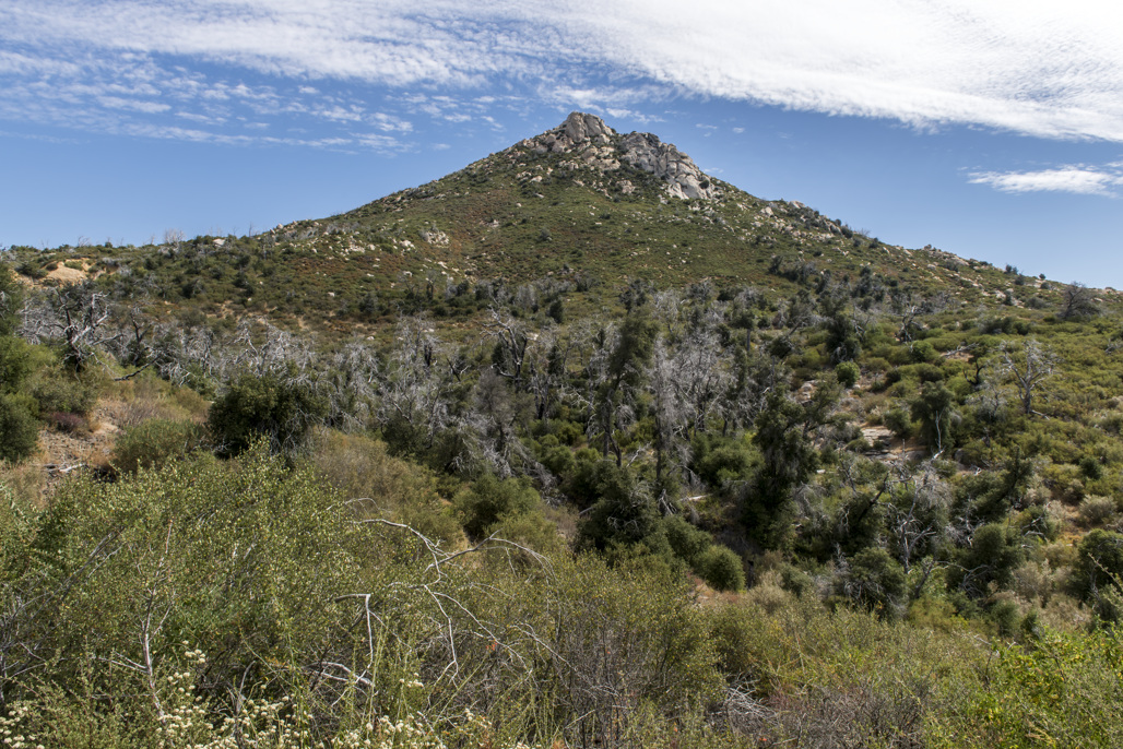 Paso Picacho & Cabins Camping | Rising 5,000 feet within ...