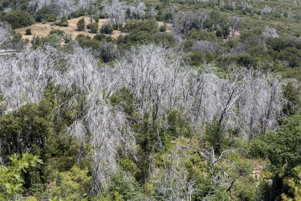California State Parks