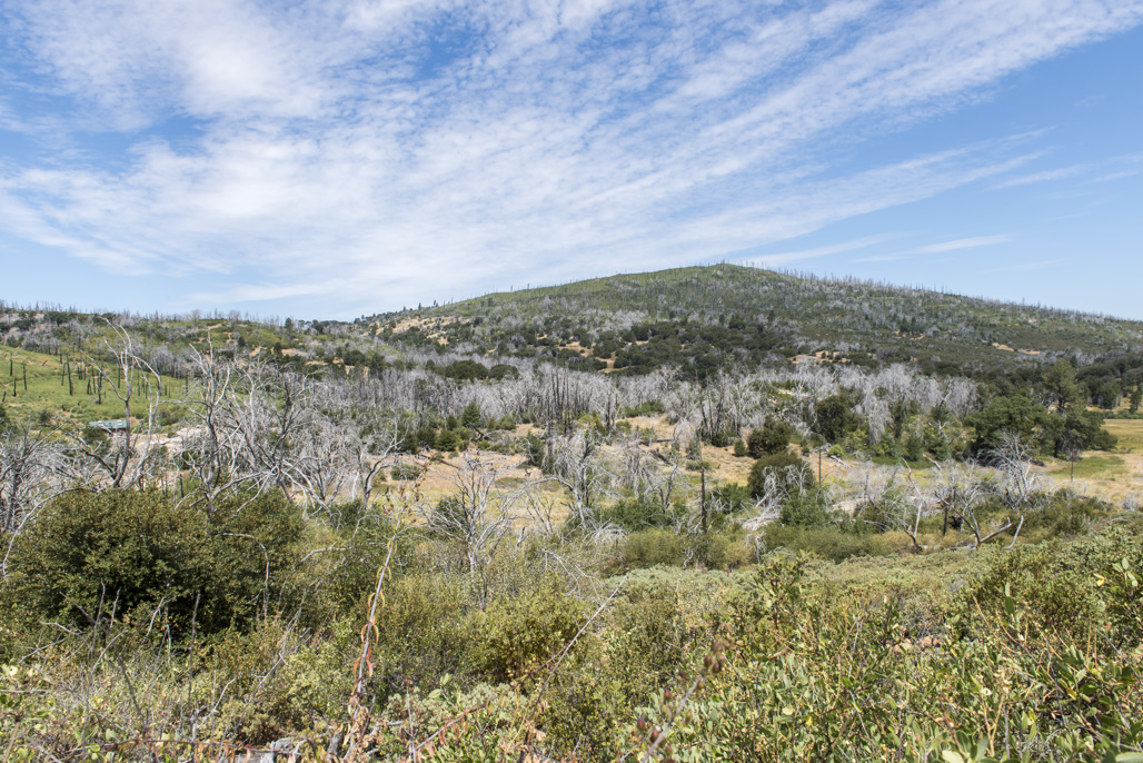 Los Vaqueros Group Horse Campground