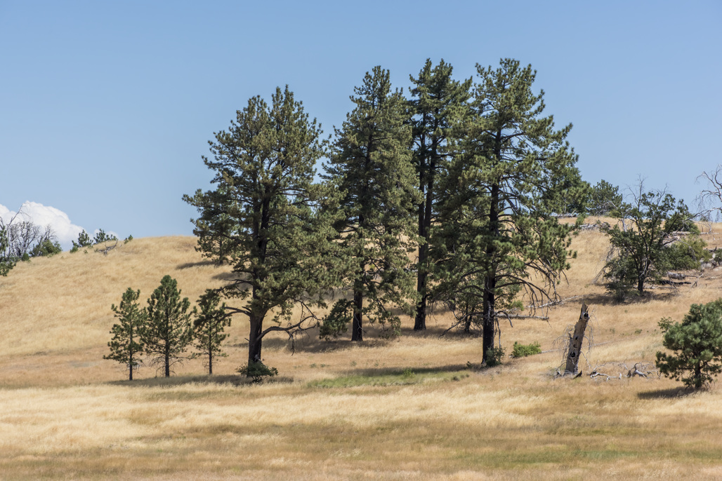 California State Parks
