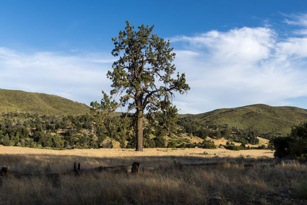 California State Parks