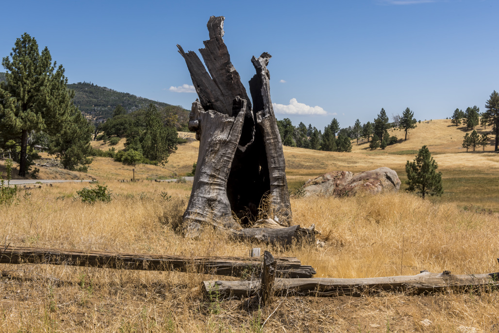 California State Parks