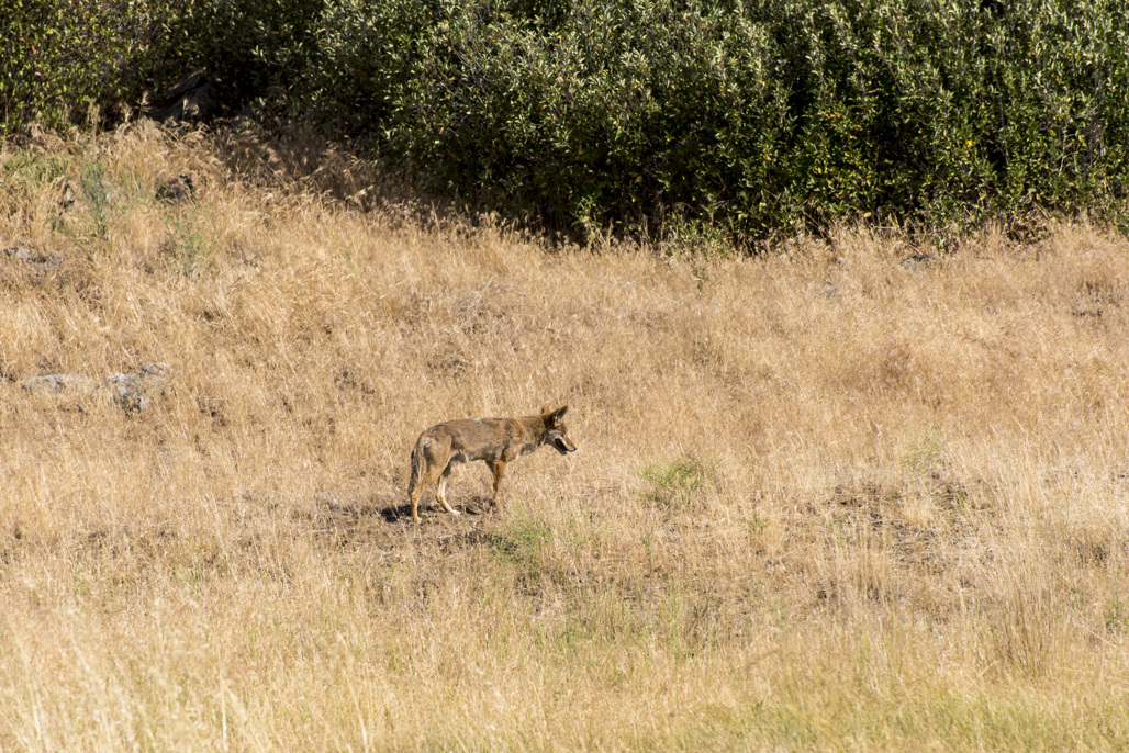 California State Parks